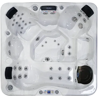 Avalon EC-849L hot tubs for sale in Margate